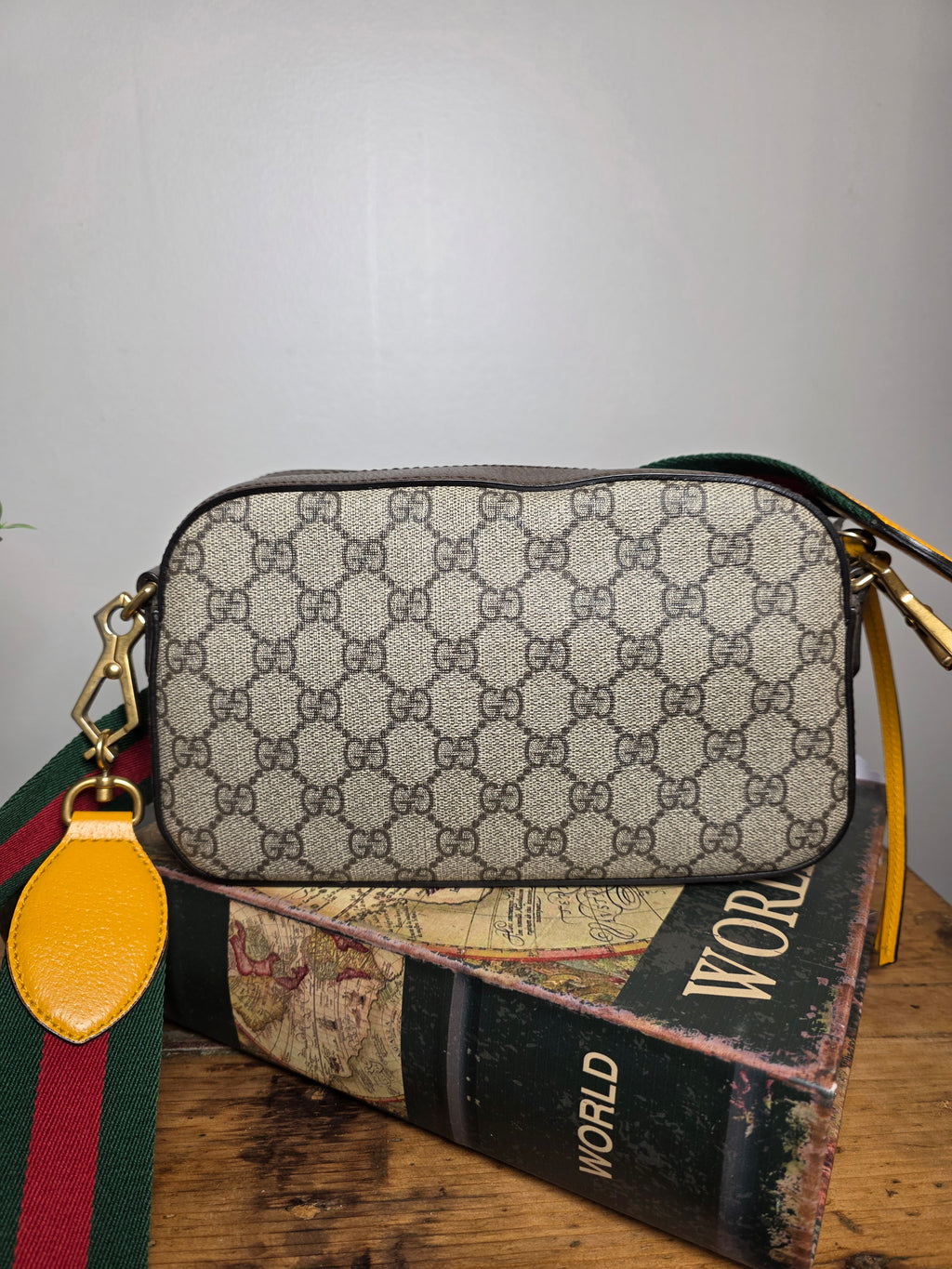 Gucci PVC Neo Vintage Camera Bag