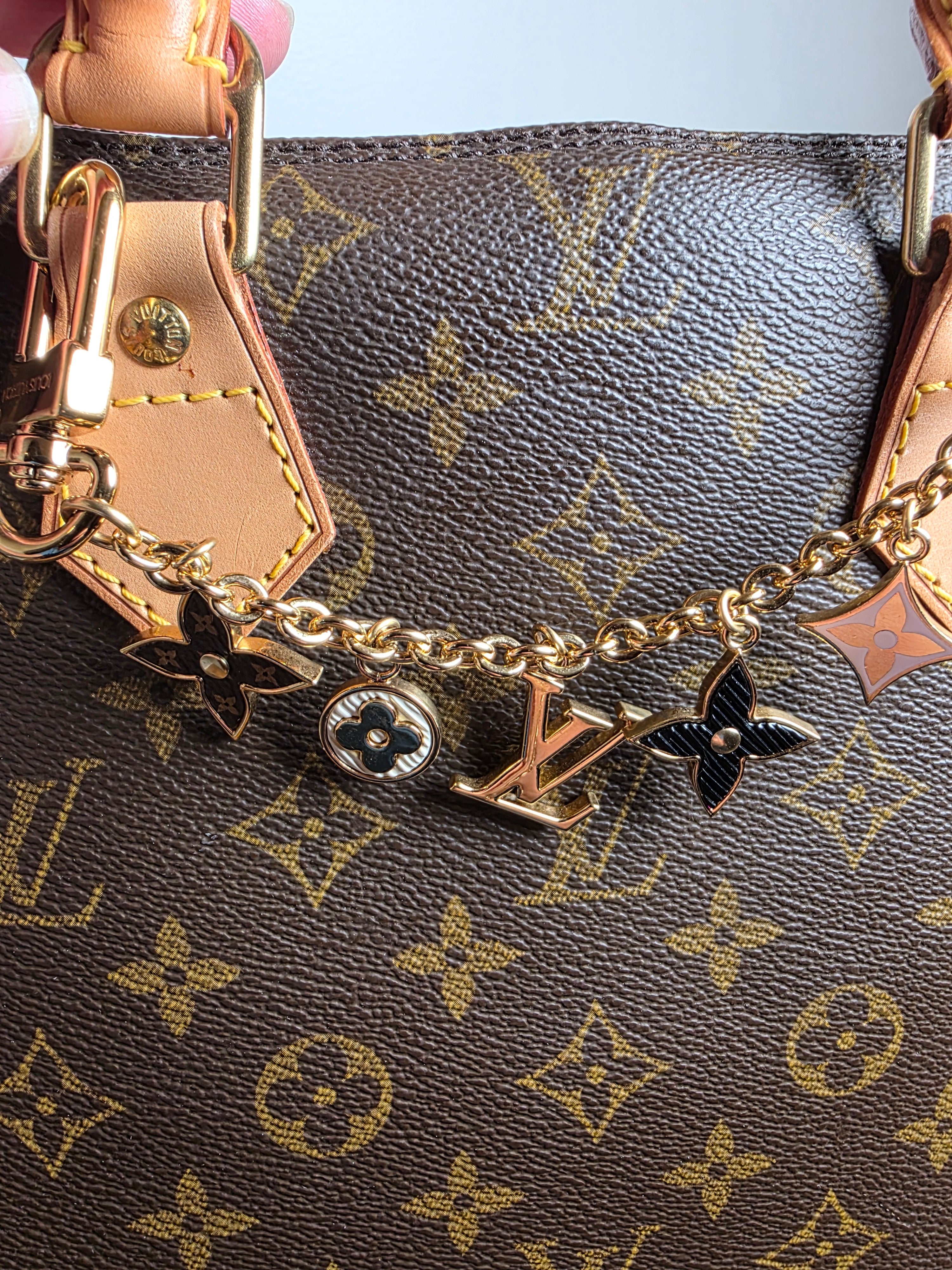 Louis Vuitton Spring Street Bag Charm/Key Chain