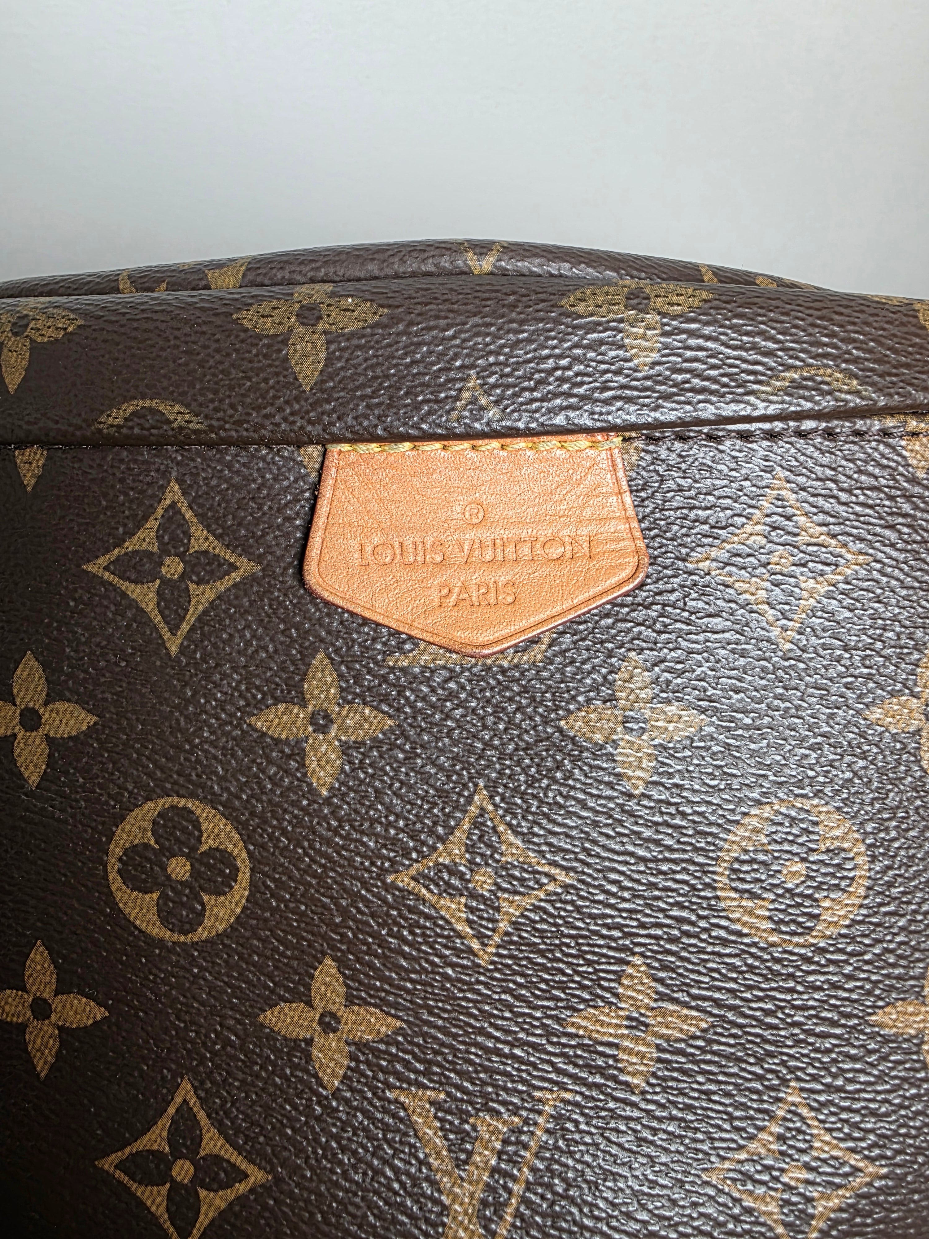 Louis Vuitton Monogram Bumbag