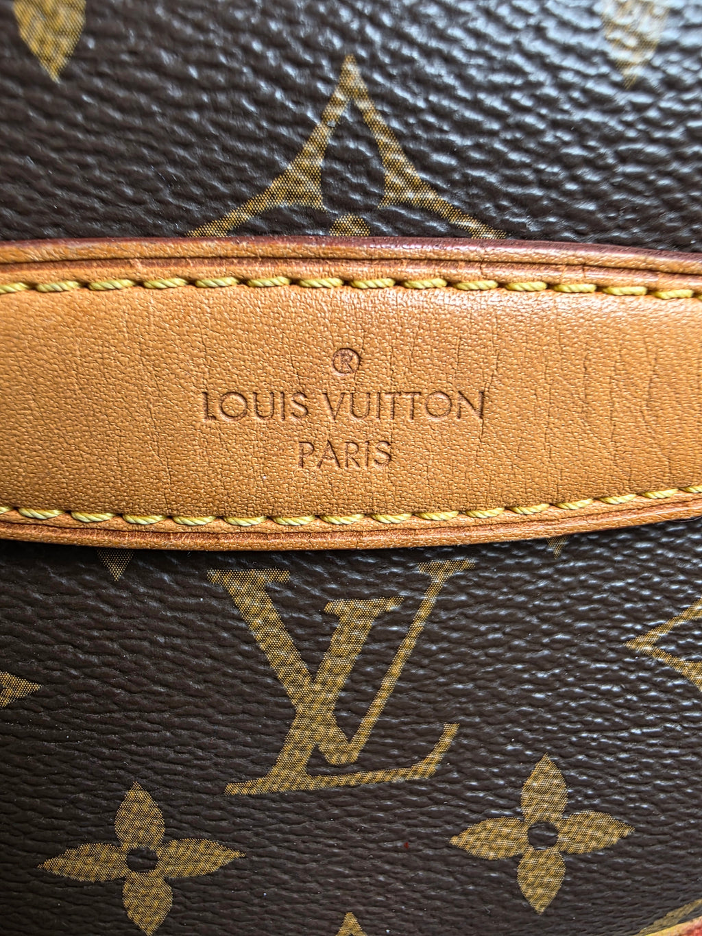 Louis Vuitton Monogram Bumbag