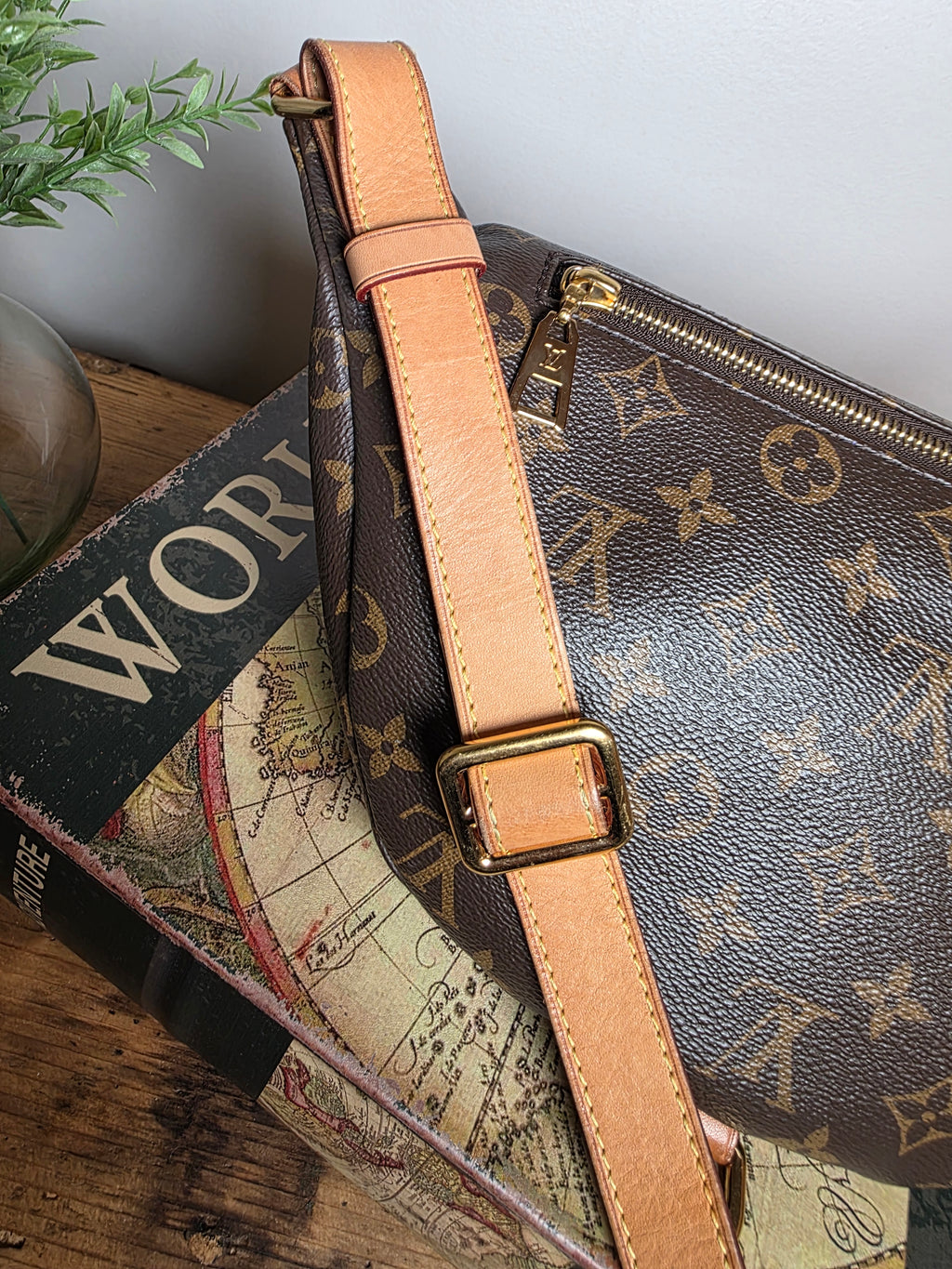 Louis Vuitton Monogram Bumbag