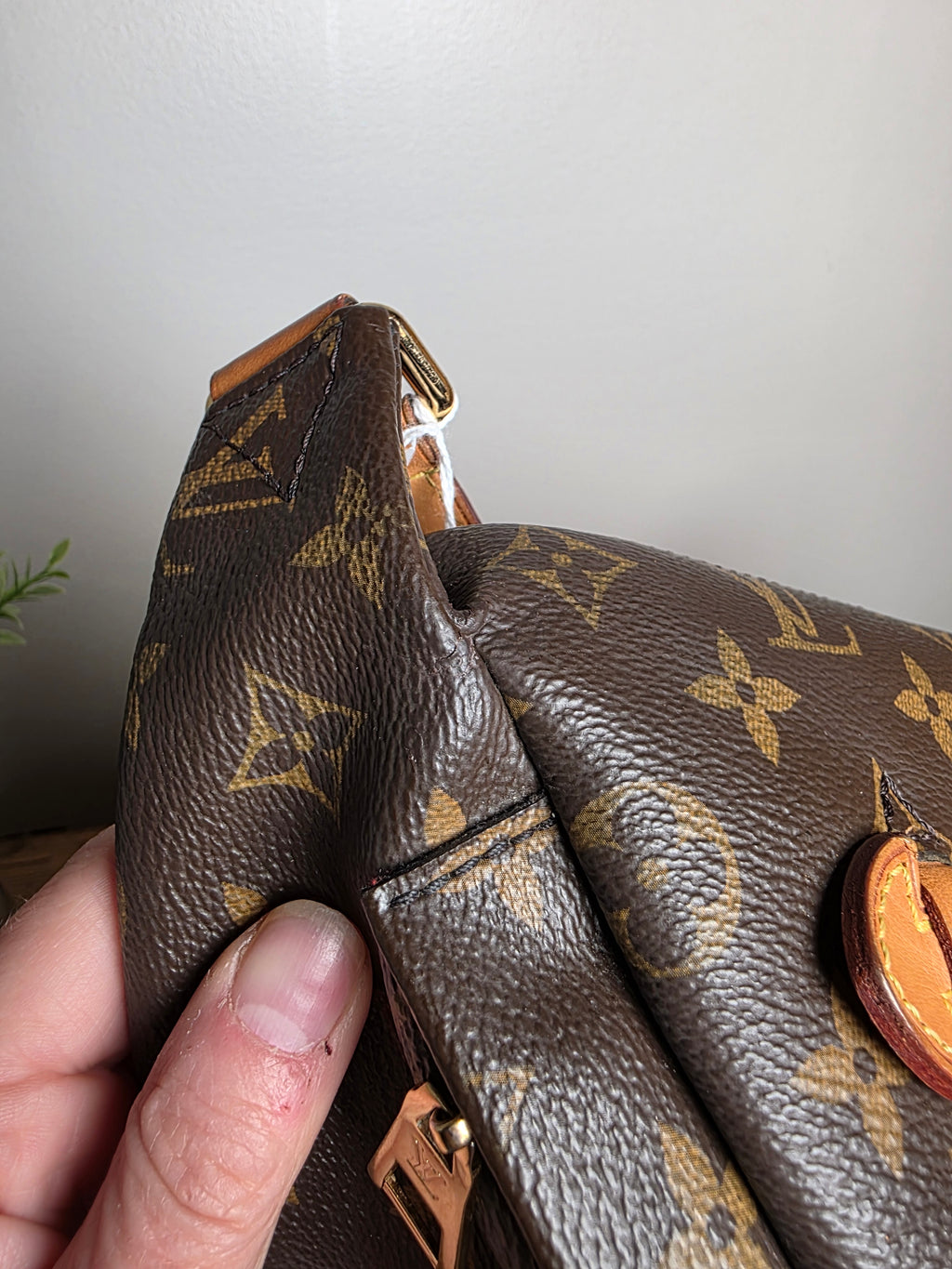 Louis Vuitton Monogram Bumbag