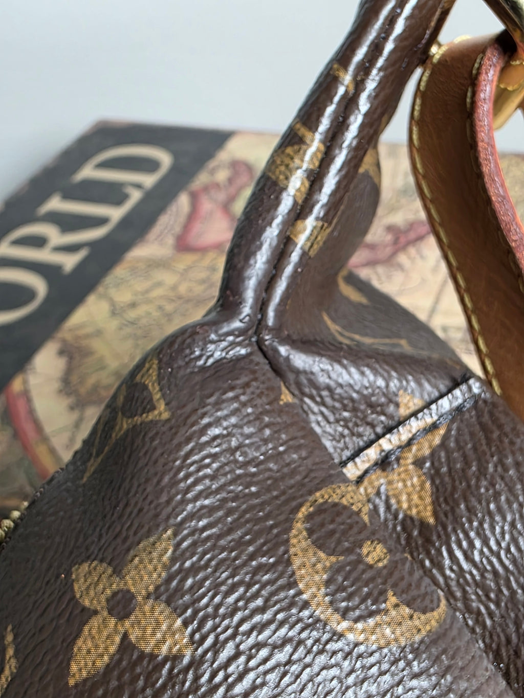 Louis Vuitton Monogram Bumbag