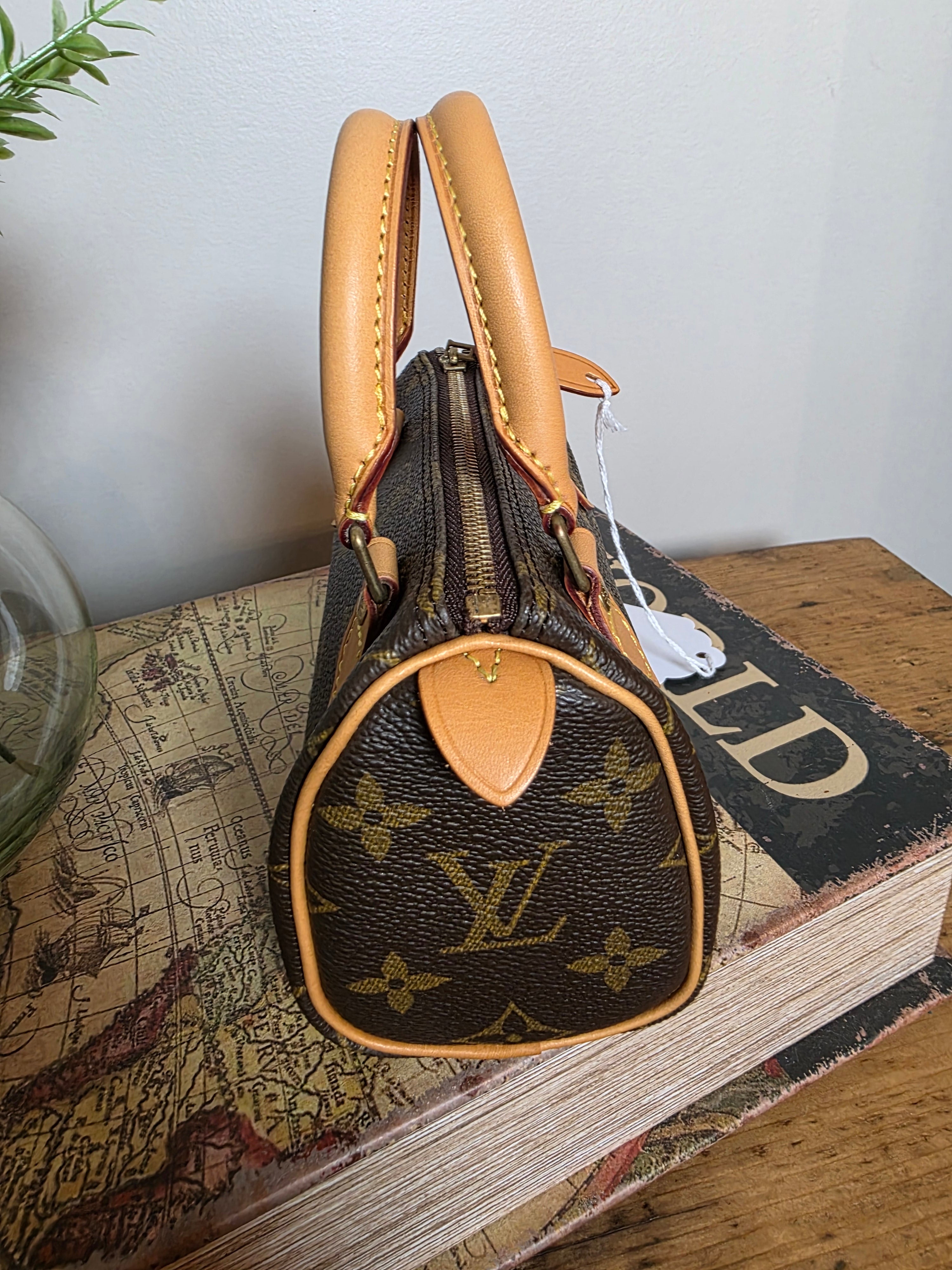 Louis Vuitton Monogram Nano Speedy