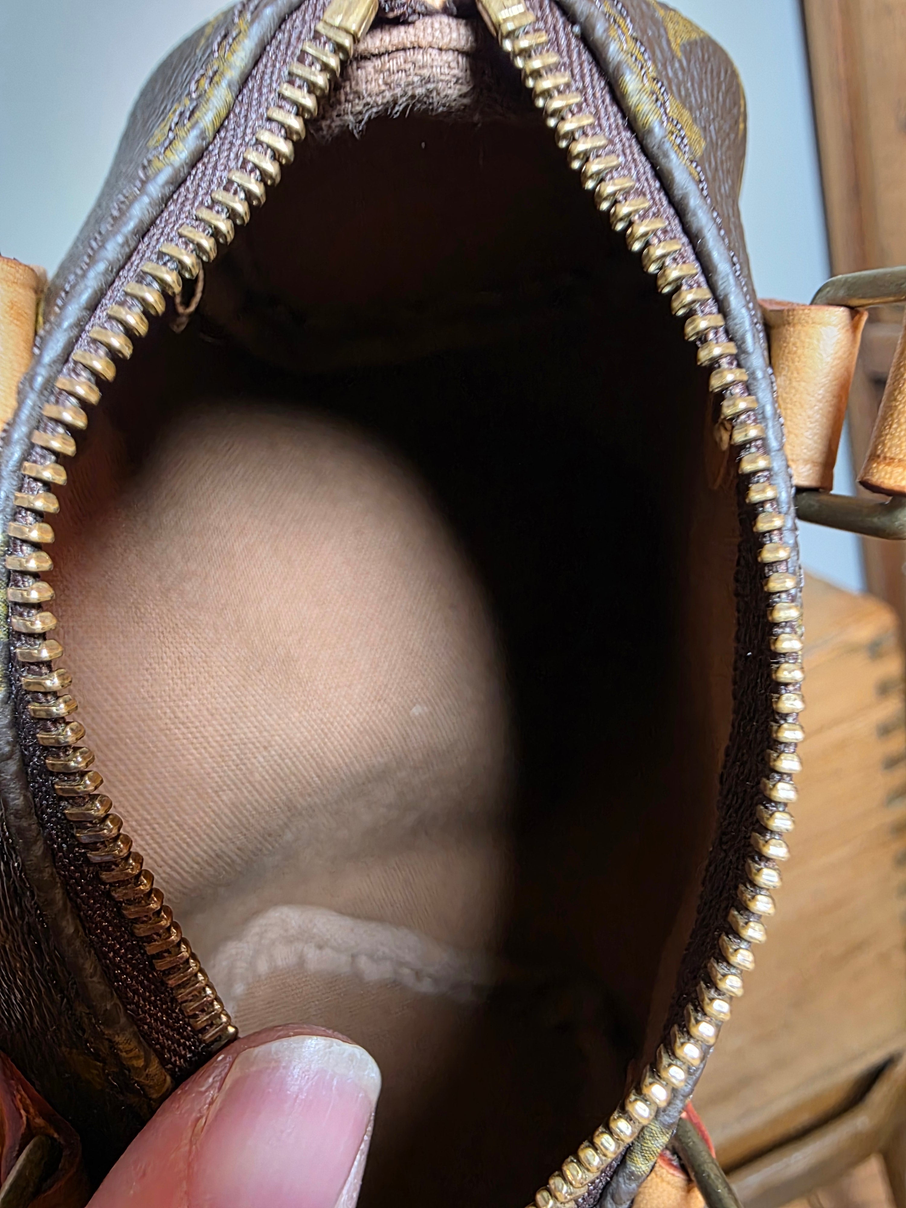 Louis Vuitton Monogram Nano Speedy